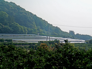 sl_044_mihama