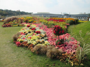 愛・地球博記念公園（モリコロパーク）-6