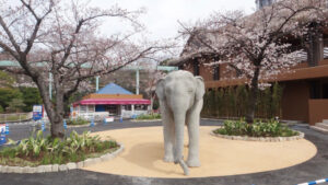 東山動物園　象の運動場-2
