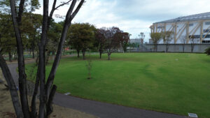 名城公園芝生広場整備工事-2