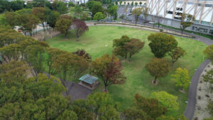 名城公園芝生広場整備工事-3