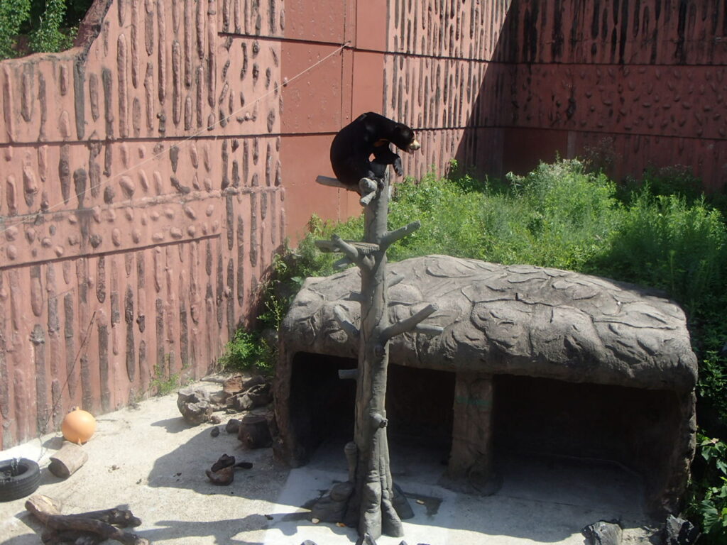 マレーグマタワー